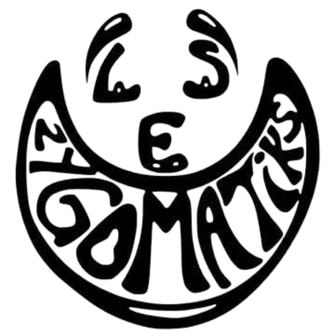 Les Zygomatiks